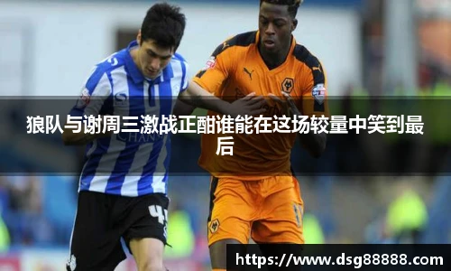 狼队与谢周三激战正酣谁能在这场较量中笑到最后